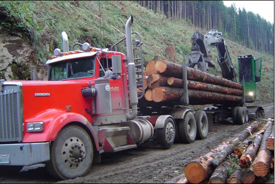 Figure 2.3.  Six-axle log truck; loading at the landing (Mason).