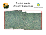 Click to View: 10. Tropical forests:  Diversity & dynamics