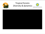 Click to View: 11. Tropical forests:  Diversity & dynamics