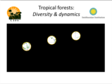 Click to View: 13. Tropical forests:  Diversity & dynamics