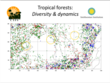 Click to View: 14. Tropical forests:  Diversity & dynamics