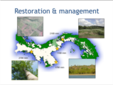 Click to View: 16. Restoration & Management