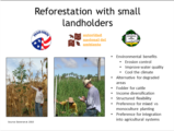 Click to View: 20. Reforestation with small landholders