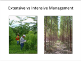 Click to View: 22. Extensive vs Intensive Management