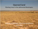 Click to View: 2. Opened land Planting trees in the deforested Neotropics