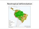 Click to View: 3. Neotropical deforestation