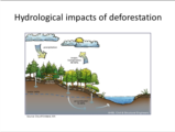 Click to View: 7. Hydrological impacts of deforestation