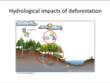 Click to View: 8. Hydrological impacts of deforestation