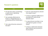 Click to View: 6. Research questions