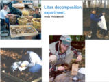 Click to View: 11. Litter decomp. experiment