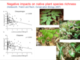 Click to View: 19. Negative Impacts