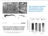 Click to View: 22. Seed emergence experiment