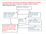 Click to View: 26. Forest Decline Syndrome