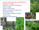 Click to View: 28. Invasive Plants and EWs