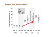 Click to View: 37. Results: litter decomposition