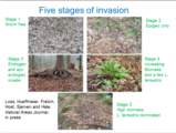 Click to View: 7. 5 stages of invasion