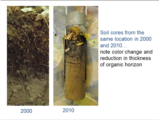 Click to View: 9. Soil Cores