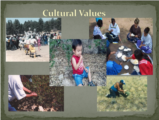 Click to View: 11. Cultural Values