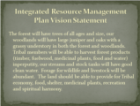 Click to View: 13. Integrated Resource Management Plan Vision Statement