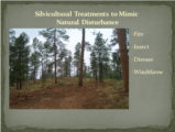 Click to View: 17. Silvicultural Treatments to Mimic  Natural Disturbance