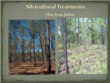 Click to View: 20. Silvicultural Treatments