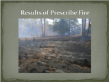 Click to View: 22. Results of Prescribe Fire