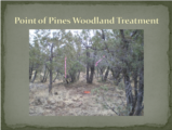 Click to View: 23. Point of Pines Woodland Treatment