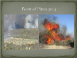 Click to View: 25. Point of Pines 2014