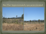 Click to View: 29. Bee Flat Approximately 500 acres treated