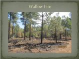 Click to View: 32. Wallow Fire