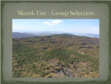 Click to View: 40. Skunk Fire - Group Selection