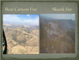 Click to View: 43. Bear Canyon Fire  Skunk fire