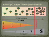 Click to View: 46. Landscape Changes VS Management Options