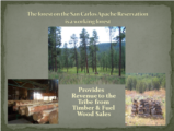 Click to View: 7. San Carlos Apache Reservation  is a working forest