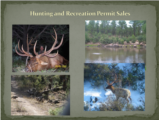 Click to View: 8. Hunting and Recreation Permit Sales