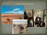 Click to View: 9. Cattle Grazing Permits